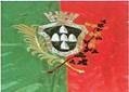 Bandeira do Funchal 1910