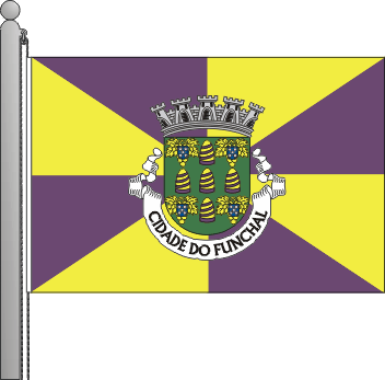 Bandeira Municipal